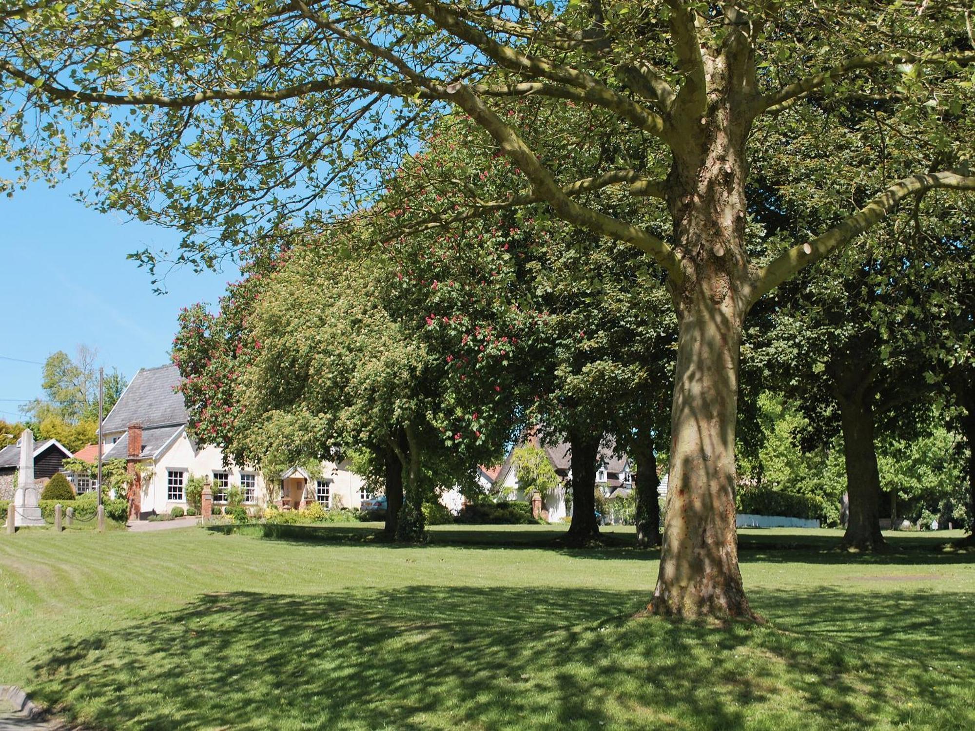 Crown Cottage Hartest Экстерьер фото